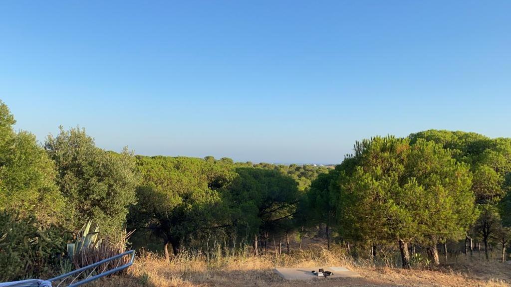 Finca Rustica Los Borrachos Aiamonte Exterior foto